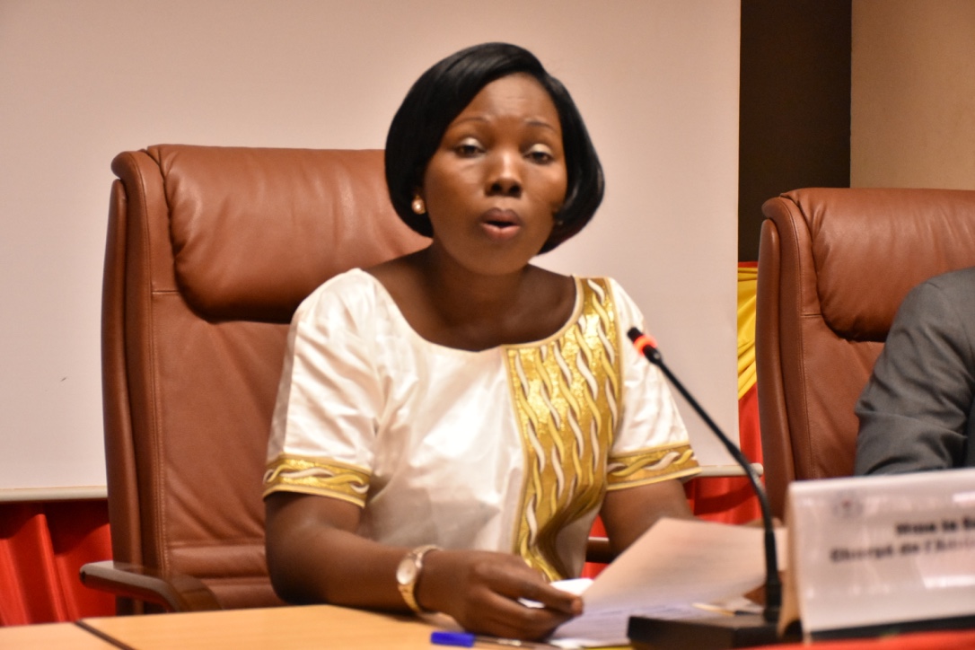 Aide publique au développement : 650 milliards de FCFA   enregistrés en 2016