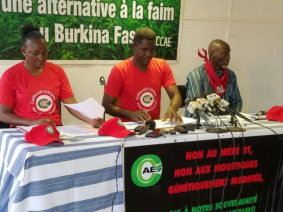 Organismes et moustiques génétiquement modifiés : Le CCAE organise une marche le 2 juin, pour marquer son refus Organismes et moustiques génétiquement modifiés : Le CCAE organise une marche le 2 juin, pour marquer son refus