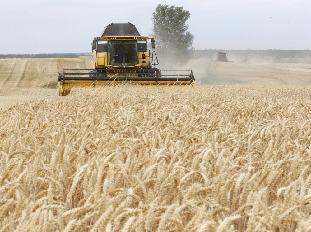 Accord sur le blé en Turquie : petit ouf de soulagement pour l’Afrique et le monde