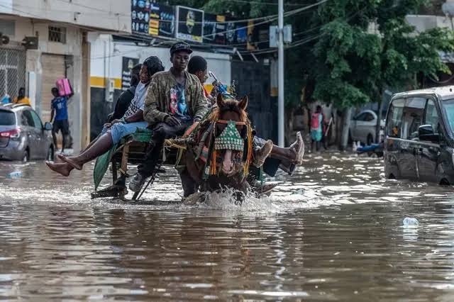 Hallebardes meurtrières au Sénégal : Les COP c&rsquo;est bien, mais l&rsquo;action chez soi est encore mieux.